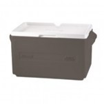 Coleman 34 QT